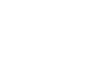 Steam Box